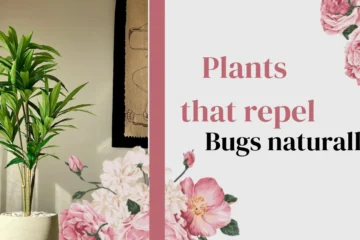plants that repel bugs