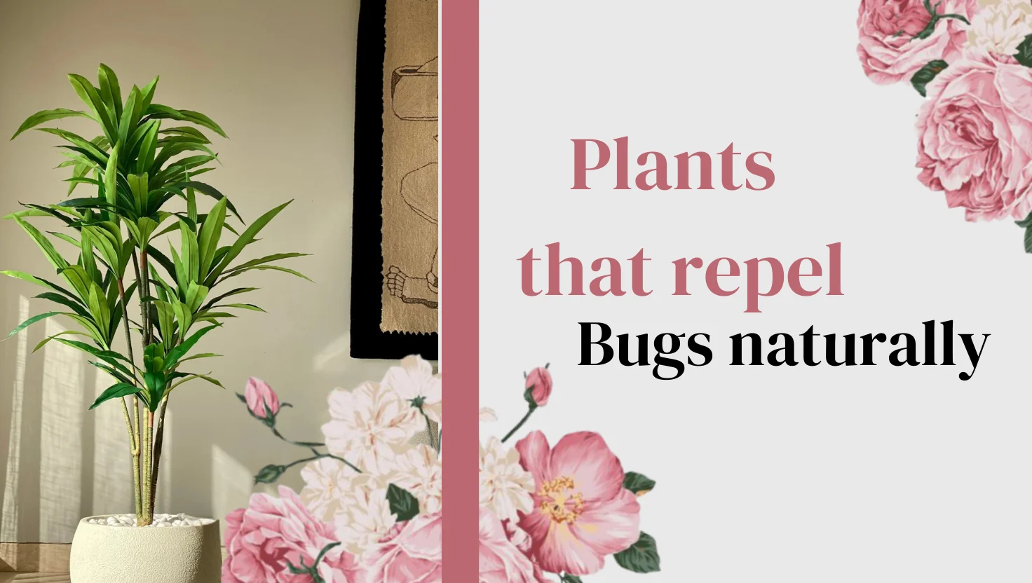 plants that repel bugs