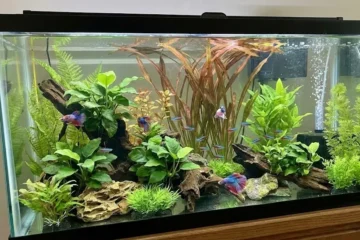 artificial plants for fish tank
