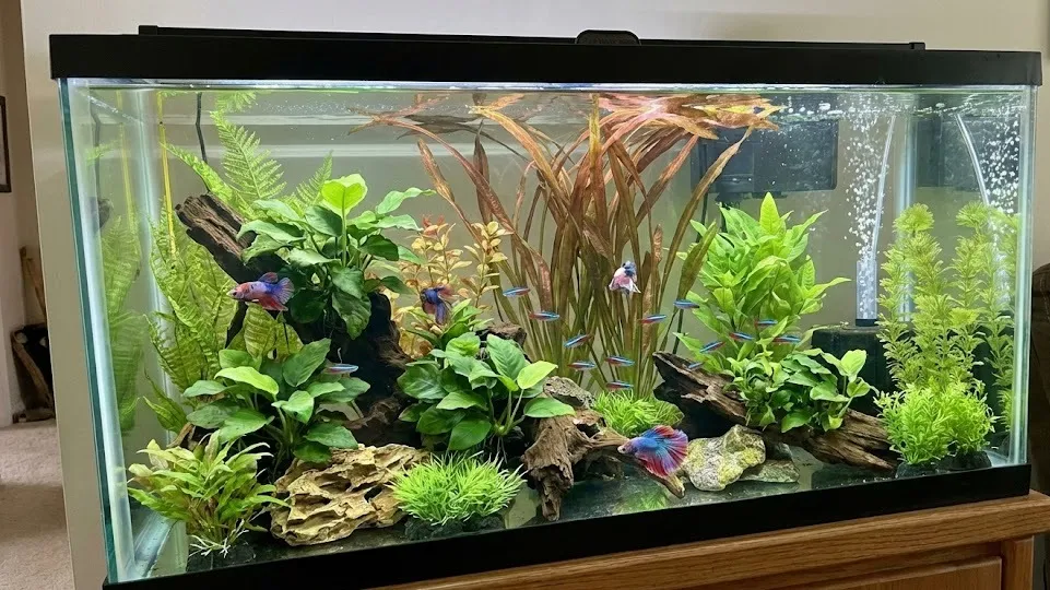 artificial plants for fish tank